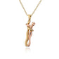 ARISEN™ Intertwined Chain/Pendant (Gold/Silver/Onyx)